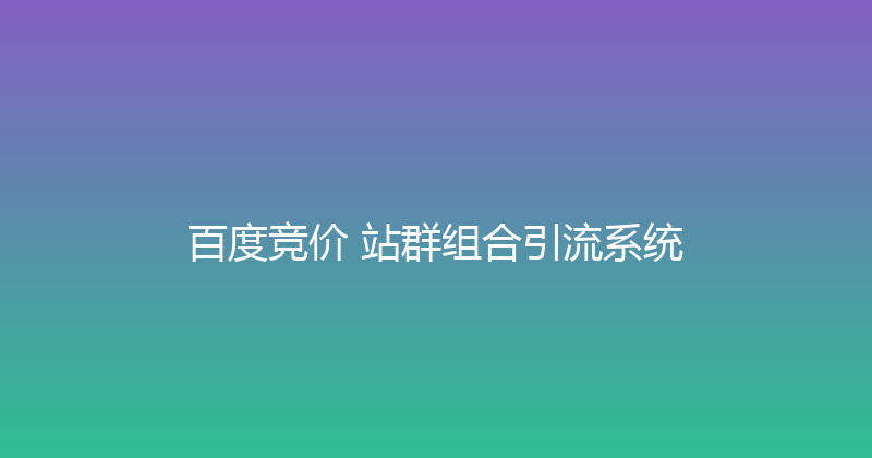 百度竞价+站群组合引流系统 封面图