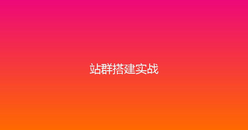 站群搭建实战 封面图