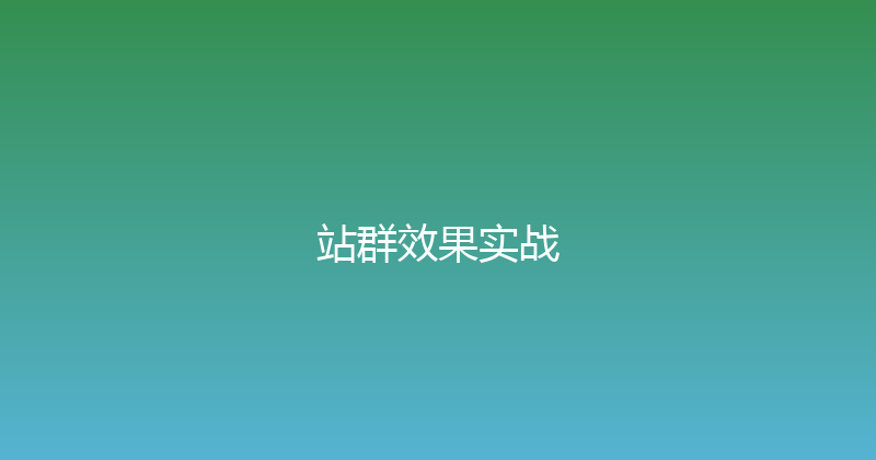 站群效果实战 封面图