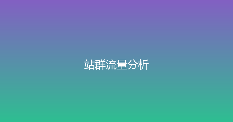 站群流量分析 封面图