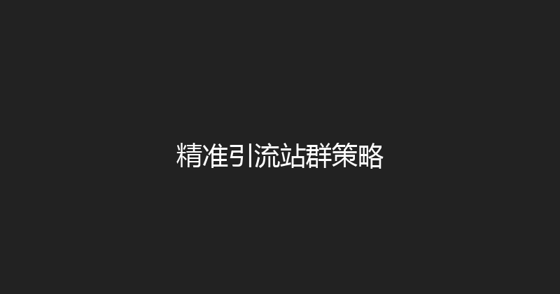 精准引流站群策略 封面图