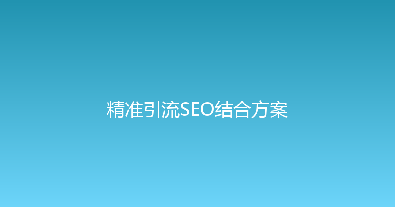 精准引流SEO结合方案 封面图